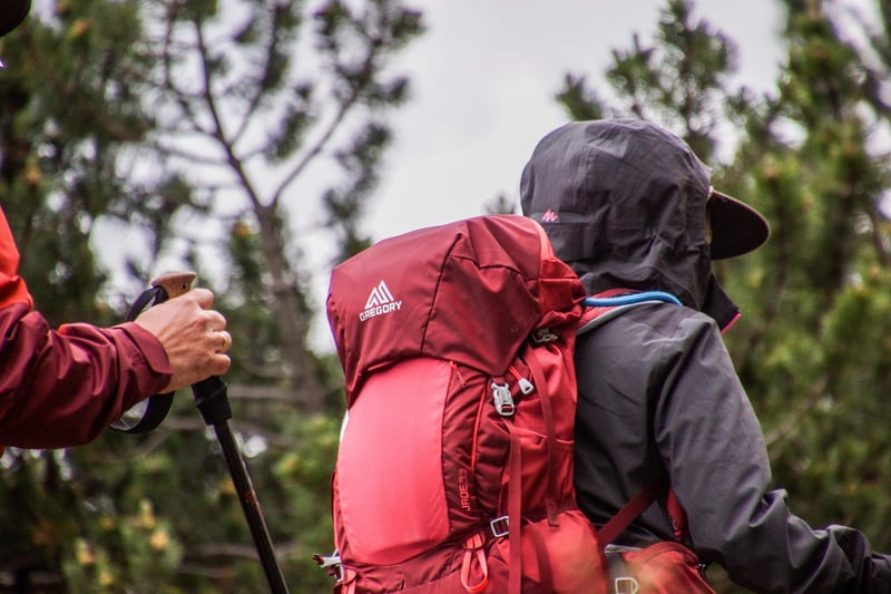 Deuter Aircontact Lite 50+10 Backpack